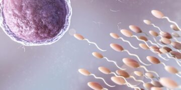 Reprodução humana: é possível ter filhos após o câncer?