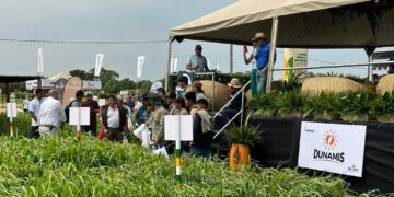 Capim Dunamis é destaque na feira agrícola “Vidas”, em Santa Cruz de la Sierra, na Bolívia