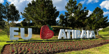 CAPA-DE-NOTICIAS-JVN_new-48-2